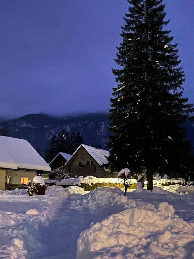 Remarkable Home Bohinj Lake Dış mekan fotoğraf