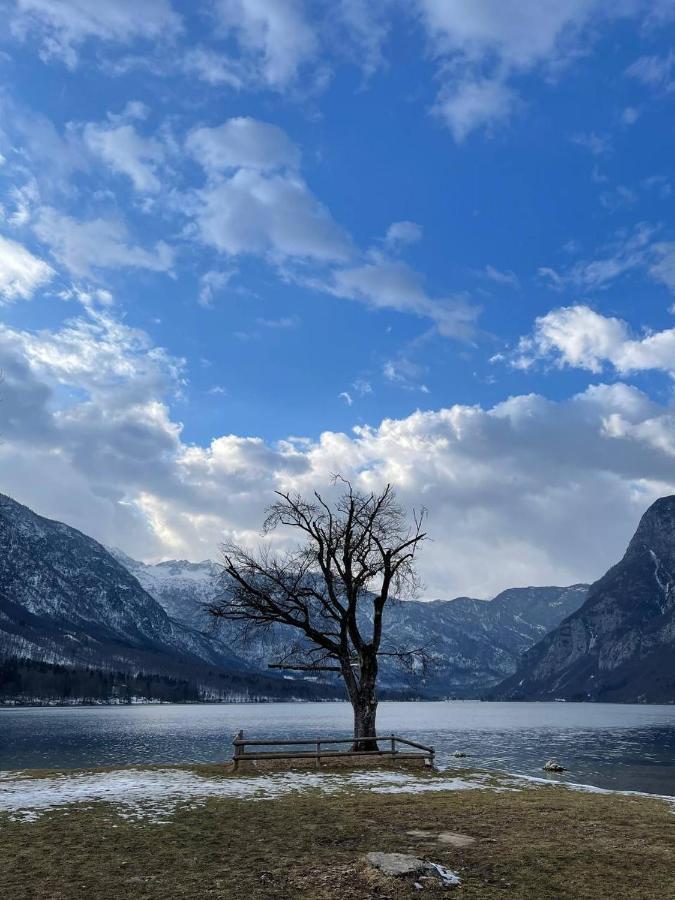 Remarkable Home Bohinj Lake Dış mekan fotoğraf